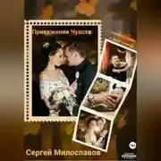 Постер книги Притяжение Чувств. Роман в двух книгах.