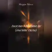 Постер книги Ангелы-Хранители (высшие силы)