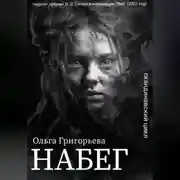 Постер книги Набег