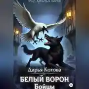 Постер книги Бойцы