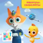 Постер книги Пилоты - самолеты