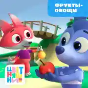 Постер книги Фрукты-овощи