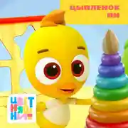 Постер книги Цыплёнок Пи