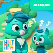 Постер книги Загадки