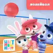 Постер книги Волейбол