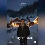 Постер книги Непутёвый 2