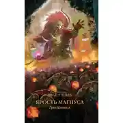 Постер книги Ярость Магнуса