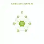 Постер книги Business Intelligence (BI)