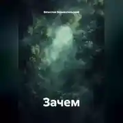 Постер книги Зачем