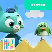 Постер книги Птичка