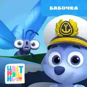 Постер книги Бабочка