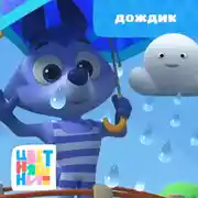 Постер книги Дождик