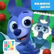 Постер книги Важное дело