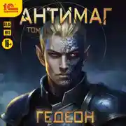 Постер книги Антимаг. Том 1
