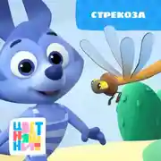 Постер книги Стрекоза