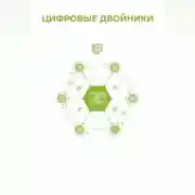 Постер книги Цифровые двойники