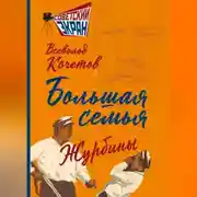Постер книги Большая семья. Журбины