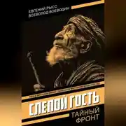 Постер книги Слепой гость