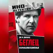 Постер книги Беглец. Несправедливо обвиненный