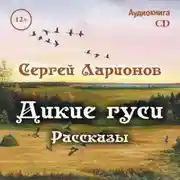 Постер книги Дикие гуси. Рассказы