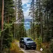 Постер книги Семейные тайны. Книга 5. Иуды