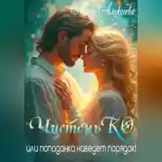 Постер книги ЧистеньКО или попаданка наведет порядок!