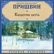 Постер книги Кащеева цепь