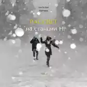Постер книги Рассвет на станции Н.