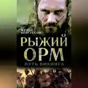 Постер книги Рыжий Орм. Путь викинга