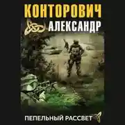 Постер книги Пепельный рассвет