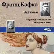 Постер книги Экзамен