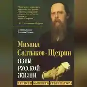Постер книги Язвы русской жизни. Записки бывшего губернатора