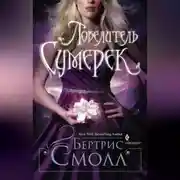 Постер книги Повелитель Сумерек