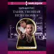 Постер книги Таинственная незнакомка