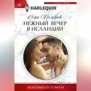 Постер книги Нежный вечер в Исландии