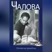 Постер книги Охота на купидона