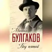 Постер книги Под пятой. Записные книжки Мастера (сборник)