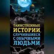Постер книги Таинственные истории, случившиеся с обычными людьми