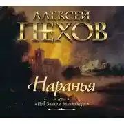 Постер книги Наранья
