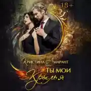 Постер книги Ты мои крылья
