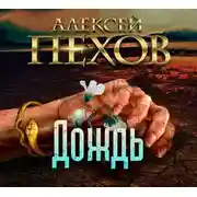 Постер книги Дождь