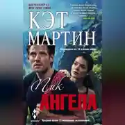 Постер книги Пик Ангела
