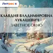 Постер книги Заветное окно