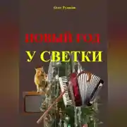 Постер книги Новый Год у Светки