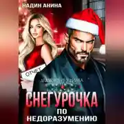 Постер книги Снегурочка по недоразумению