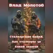 Постер книги Сталкерские байки. Как сталкеры за ëлкой ходили