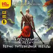 Постер книги Зерно Путеводной Звезды