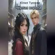 Постер книги Чёрная ворона