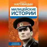Постер книги Милицейские истории