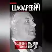Постер книги Большая тайна Малого народа